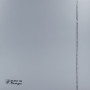 Осевой вентилятор для ванной Soler&Palau SILENT-100 CZ SILVER DESIGN SWAROVSKI